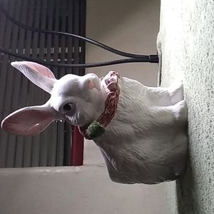 White bunny pot